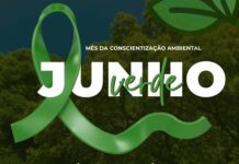 Junho Verde: um convite à conscientização e à preservação do meio ambiente