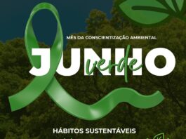 Junho Verde: um convite à conscientização e à preservação do meio ambiente