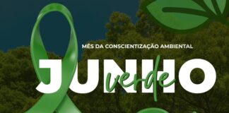 Junho Verde: um convite à conscientização e à preservação do meio ambiente